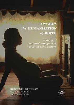 Towards the Humanisation of Birth: A study of epidural analgesia and hospital birth culture Softcover reprint of the original 1st ed. 2018