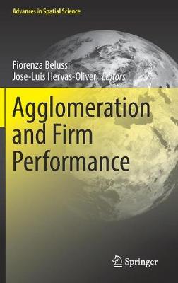 Agglomeration and Firm Performance 1st ed. 2018
