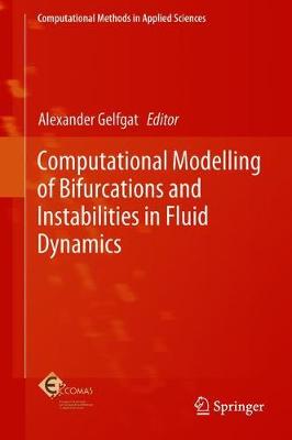 Computational Modelling of Bifurcations and Instabilities in Fluid Dynamics