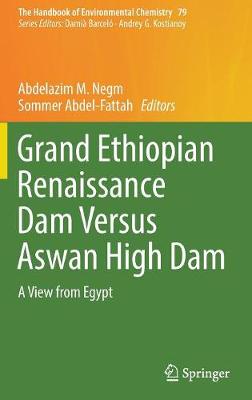 Grand Ethiopian Renaissance Dam Versus Aswan High Dam: A View from Egypt 1st ed. 2019