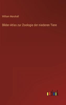 Bilder-Atlas zur Zoologie der niederen Tiere