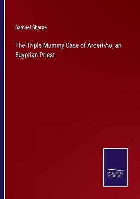 Triple Mummy Case of Aroeri-Ao, an Egyptian Priest