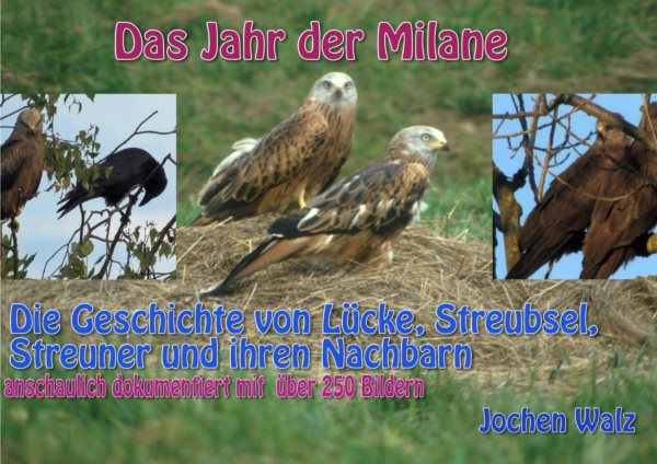Das Jahr der Milane: Die Geschichte von Lucke, Streubsel,  Streuner und ihren Nachbarn