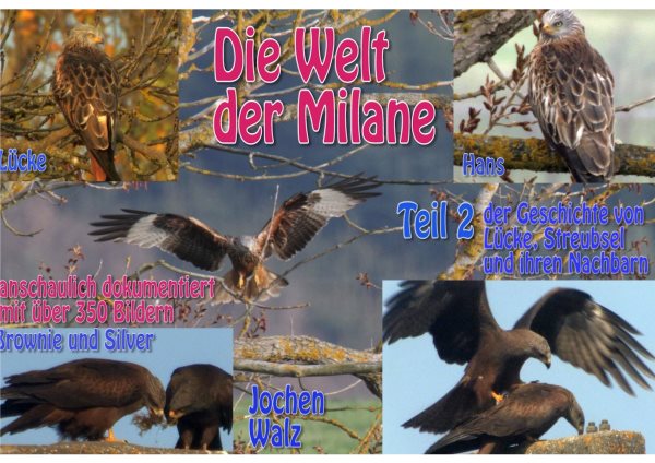 Die Welt der Milane Teil 2: Teil 2 der Geschichte von Lucke, Streubsel und ihren Nachbarn