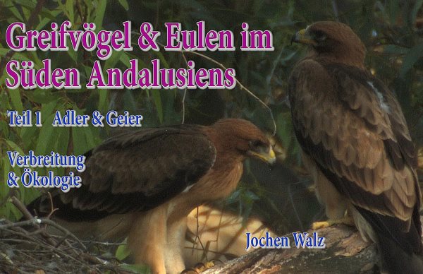 GreifvÃ¶gel und Eulen im SÃ¼den Andalusiens Teil 1 Adler und Geier: Verbreitung und Okologie