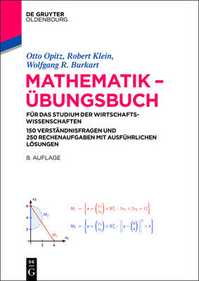 Mathematik - Übungsbuch: Für Das Studium Der Wirtschaftswissenschaften. 150 Verständnisfragen Und 250  Rechenaufgaben Mit Ausführlichen Lösungen 8th 8., Wesentlich Erw. Aufl. ed.