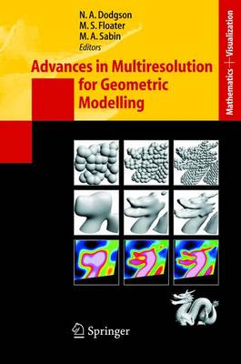 Advances in Multiresolution for Geometric Modelling 2005 ed.