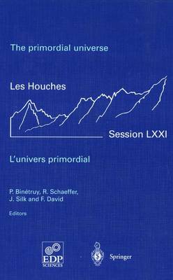 primordial universe - L'univers primordial: 28 June - 23 July 1999 2000 ed.
