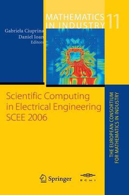 Scientific Computing in Electrical Engineering 2007 ed.