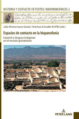 Espacios de contacto en la hispanofonÃ­a: Espanol y lenguas indigenas en el mundo globalizado
