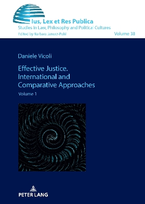 Effective Justice. International and Comparative Approaches: Volume 1 New edition
