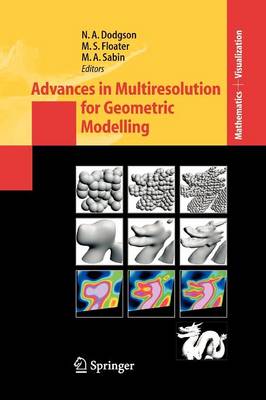Advances in Multiresolution for Geometric Modelling Softcover reprint of hardcover 1st ed. 2005