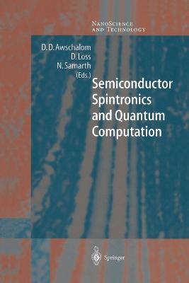 Semiconductor Spintronics and Quantum Computation Softcover reprint of the original 1st ed. 2002