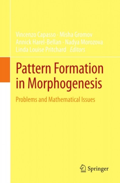 Pattern Formation in Morphogenesis: Problems and Mathematical Issues