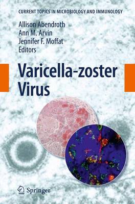Varicella-zoster Virus 2010 ed.