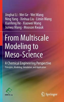 From Multiscale Modeling to Meso-Science: A Chemical Engineering Perspective 2013 ed.