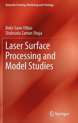 Laser Surface Processing and Model Studies 2013 ed.