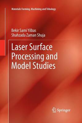 Laser Surface Processing and Model Studies 2013 ed.
