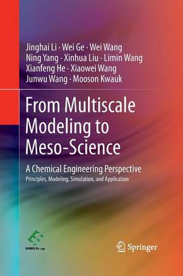 From Multiscale Modeling to Meso-Science: A Chemical Engineering Perspective 2013 ed.