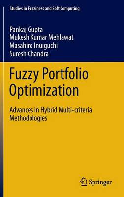 Fuzzy Portfolio Optimization: Advances in Hybrid Multi-criteria Methodologies