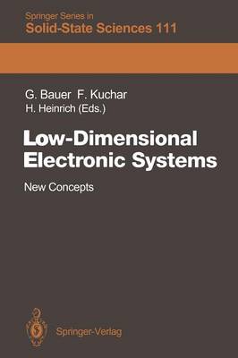 Low-Dimensional Electronic Systems: New Concepts Softcover reprint of the original 1st ed. 1992