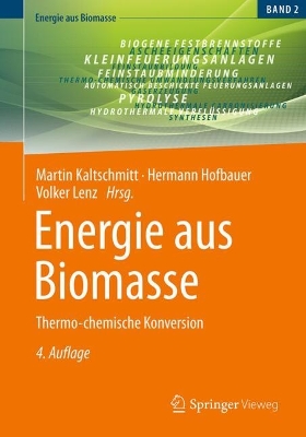Energie aus Biomasse: Thermo-chemische Konversion