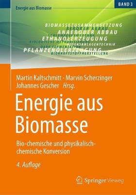 Energie aus Biomasse : Bio-chemische und physikalisch-chemische Konversion