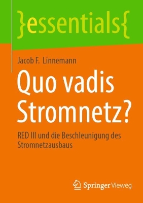 Quo vadis Stromnetz?: RED III und die Beschleunigung des Stromnetzausbaus 