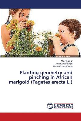 Planting geometry and pinching in African marigold (Tagetes erecta L.)