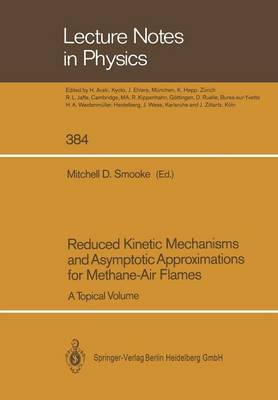 Reduced Kinetic Mechanisms and Asymptotic Approximations for Methane-Air  Flames: A Topical Volume Softcover reprint of the original 1st ed. 1991