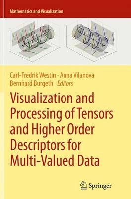 Visualization and Processing of Tensors and Higher Order Descriptors for  Multi-Valued Data Softcover reprint of the original 1st ed. 2014