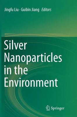 Silver Nanoparticles in the Environment Softcover reprint of the original 1st ed. 2015