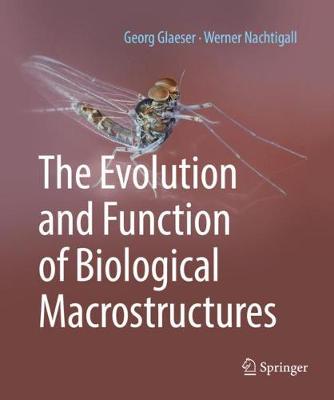 Evolution and Function of Biological Macrostructures 2019 ed.