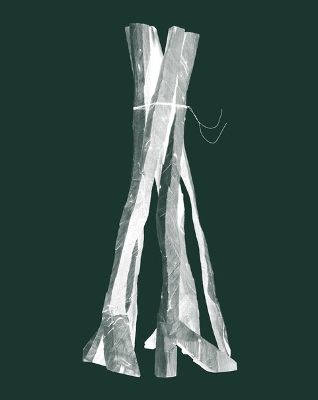Georg Baselitz: Sculptures 2011-2015