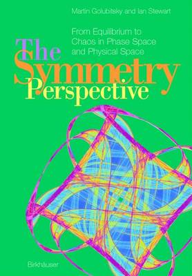 Symmetry Perspective: From Equilibrium to Chaos in Phase Space and Physical Space Softcover reprint of the original 1st ed. 2002