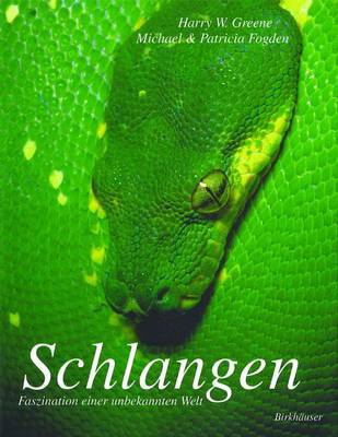 Schlangen: Faszination einer unbekannten Welt