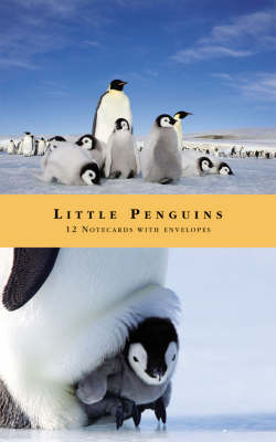 Little Penguins