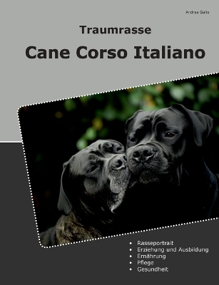 Traumrasse Cane Corso Italiano