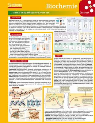 Biochemie Im Berblick