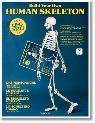 Build Your Own Human Skeleton Multilingual edition