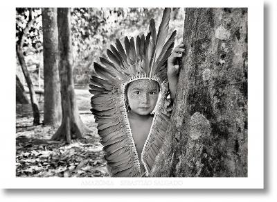 Salgado. Amazônia. Poster Yawanawa Girl