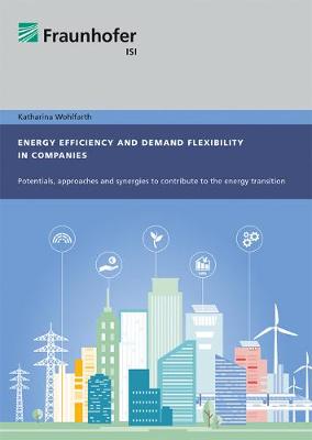 Energy efficiency and demand flexibility in companies