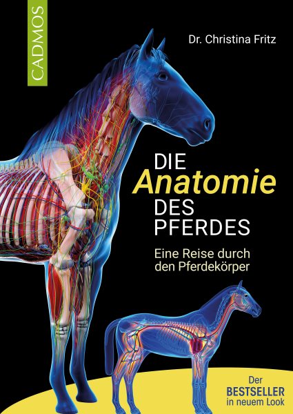Die Anatomie des Pferdes: Eine Reise durch den Pferdekorper