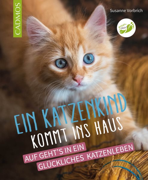 Ein Katzenkind kommt ins Haus: Auf geht's in ein gluckliches Katzenleben