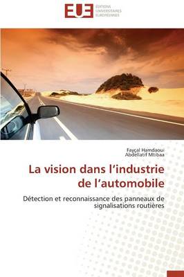 Vision Dans l'Industrie de l'Automobile