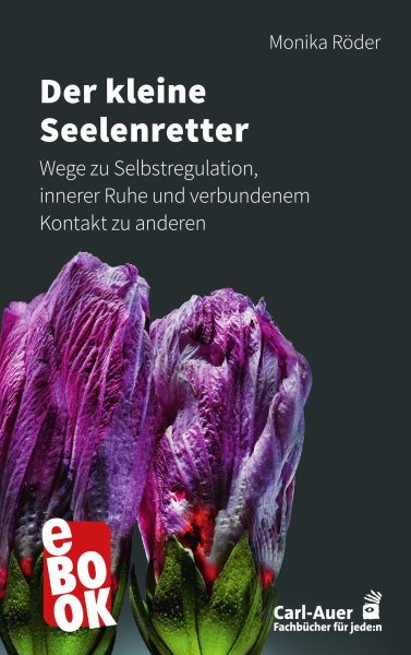 Der kleine Seelenretter: Wege zu Selbstregulation, innerer Ruhe und verbundenem Kontakt zu anderen