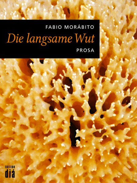 Die langsame Wut: Prosa
