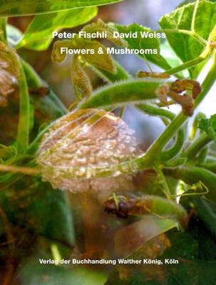 David Fischli & Peter Weiss: Flowers and Mushrooms