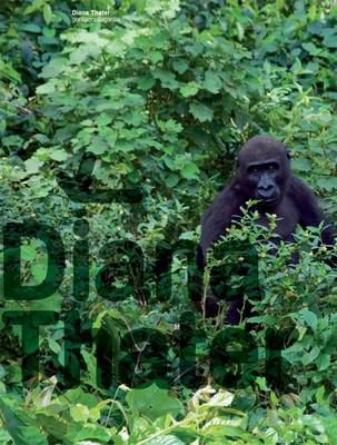 Diana Thater: Gorillagorillagorilla