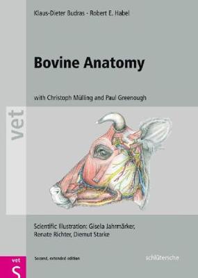 Bovine Anatomy: An Illustrated Text, Second  Edition Second Edition